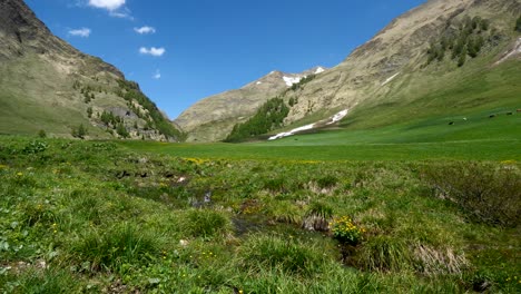 timelaps shot with fast moving clouds in a beautiful green valley of the mountains in spring, dolomites, italy