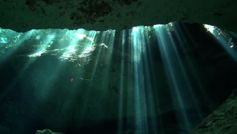 rayos de sol animan un cenote