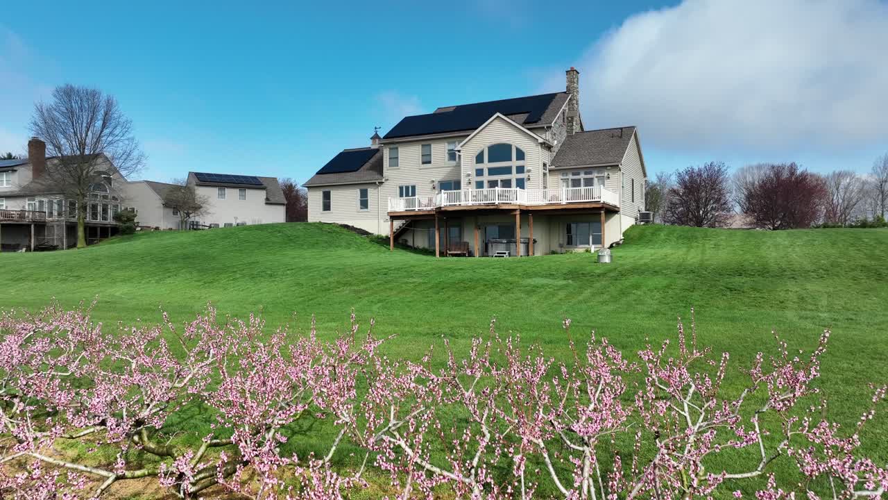 나무 에 꽃 이 피는 복아 과수원