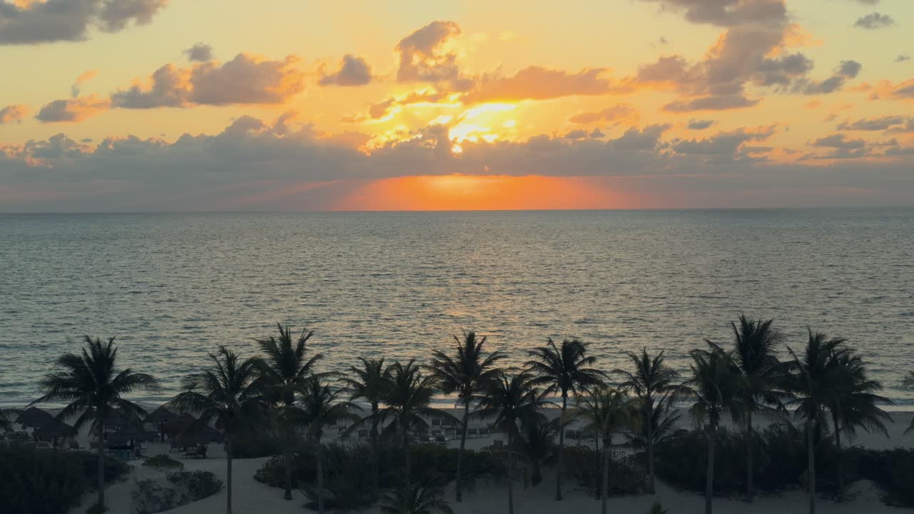 Palm tree beach view on ocean sunset