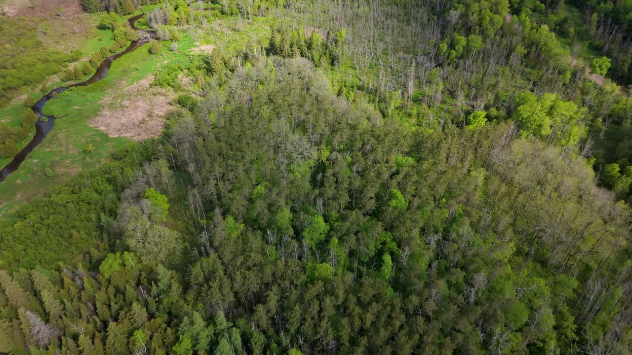 Green forest and water stream near Caledon in Canada, wide drone shot