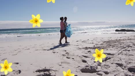 animation of daffodils over african american couple walking on beach and picking up rubbish