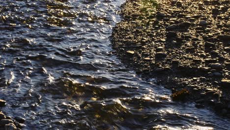 tilting over small stream to arctic sea view