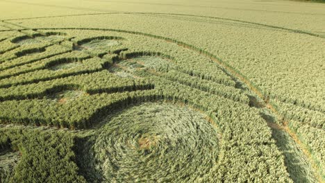 Drohnenansicht-Aus-Niedriger-Perspektive-über-Rätselhafte-Kornkreise-Auf-Grünem-Ackerland,-Owslebury