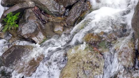 corriente de agua en la piedra. pequeña caída de agua en la roca. agua que fluye entre las piedras