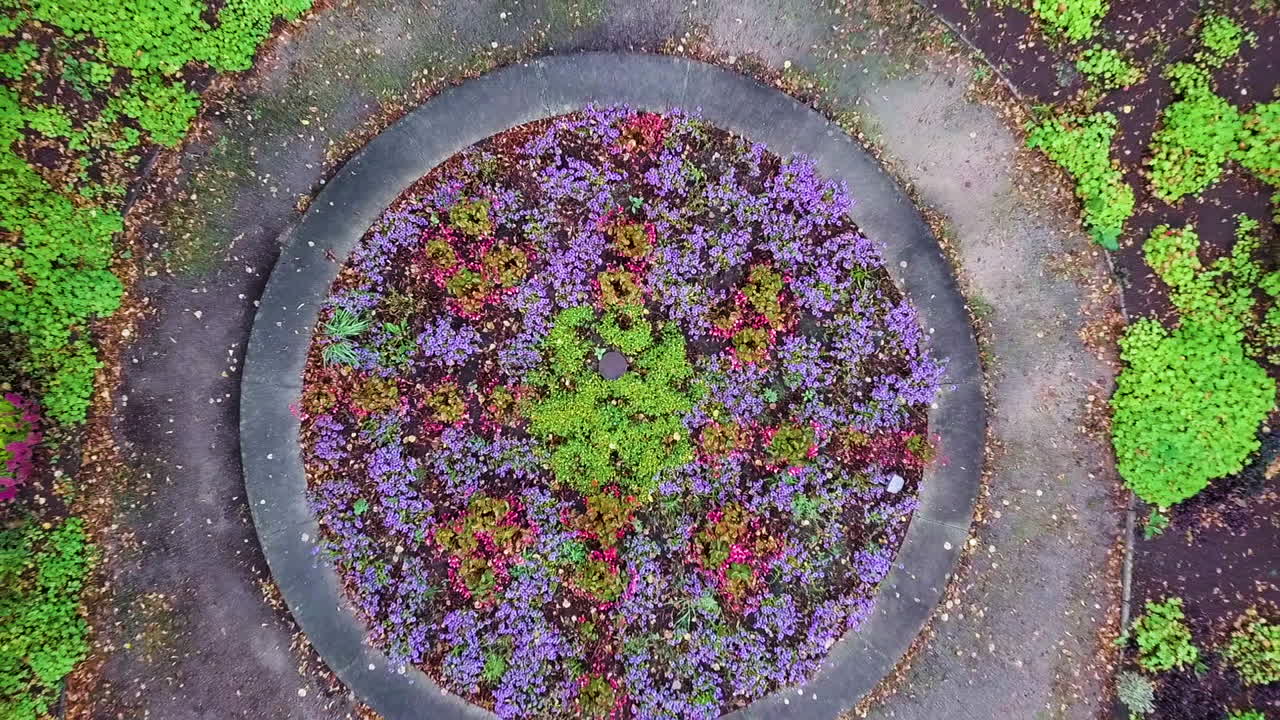coloridas flores de primavera paisajismo en un jardín durante el día