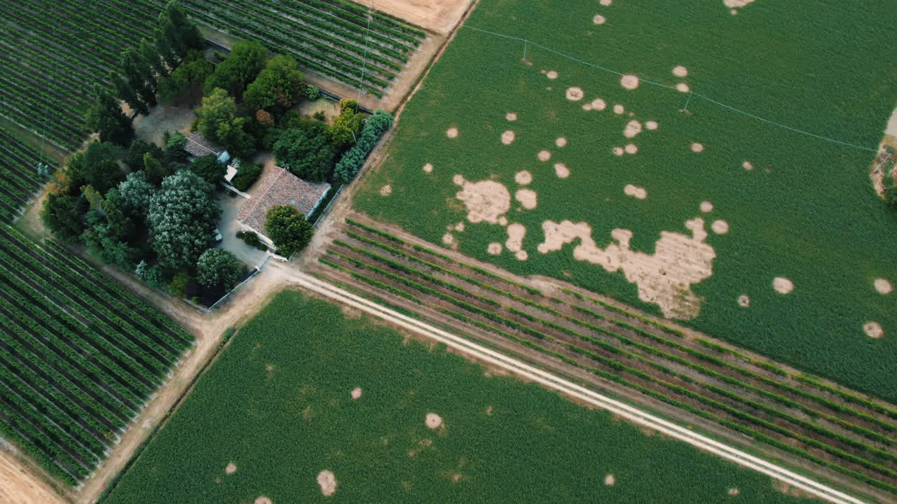 vista aérea de un viñedo francés y tierras de cultivo