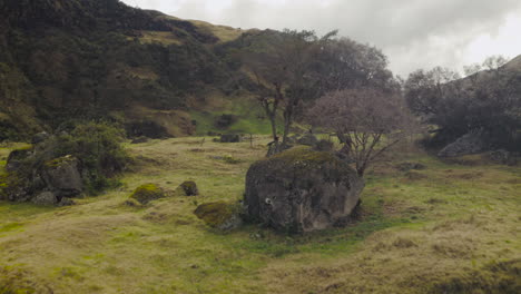 general shot, el cajas national park, cuenca ecuador.