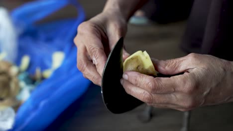 primer plano de las manos pelando una patata con un cortador tradicional indio aruvamanai
