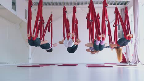 barefoot ladies lie relaxed in special hammocks back view