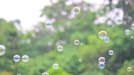 soap bubbles floating in the air with natural green blurred bokeh background for children and kids