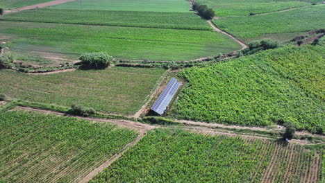 Los-Paneles-Solares-Acercándose