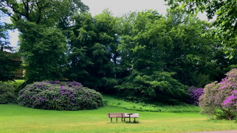 park bench in the green park