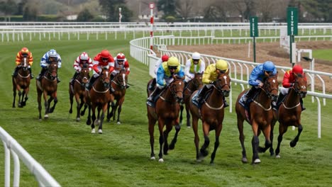 exciting horse racing action: a thrilling finale as jockeys compete for victory on the racetrack, each appraising their strategies in a battle for the first place