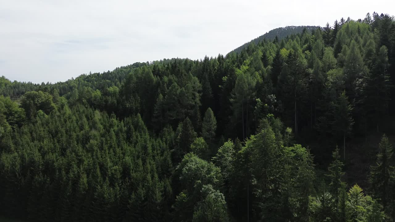 Forest from above in Semmering, Austria, close to the World Heritage Unesco Site in Semmering Eisenbahn in &Ouml;sterreich 4K, filmed with drone