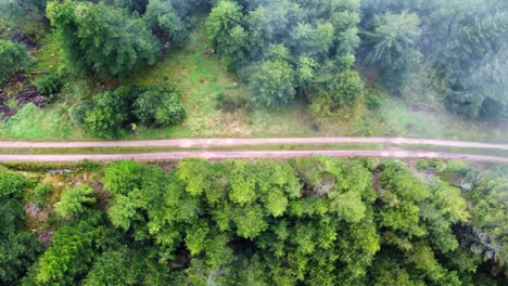 Aerial-top-down-view-of-muddy-forest-mountain-path-with-fast-moving-clouds-in-Vosges,-France-4K