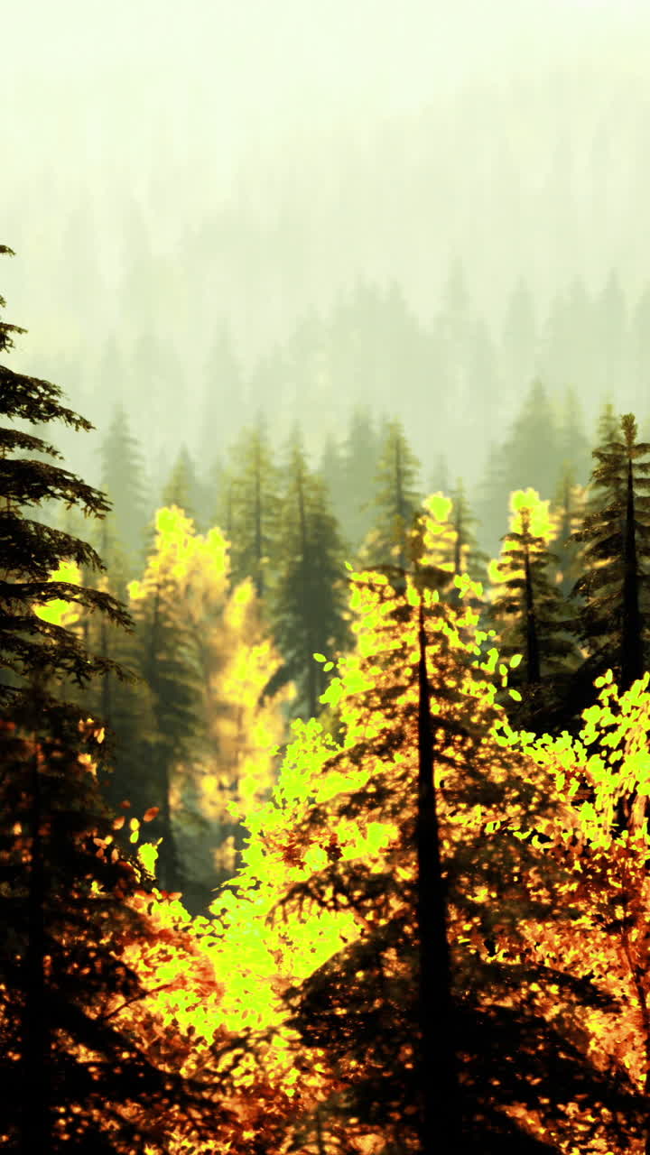 Autumn forest landscape with vibrant foliage and misty mountains
