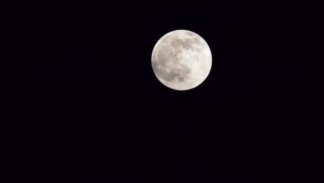 bright illuminated full moon motion in natural speed, small clouds moving in front of the moon, mystic mood, distant medium shot