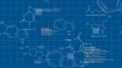 El-Texto-Y-Los-Datos-Digitales-Se-Muestran-Sobre-Fondo-Azul.