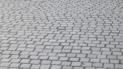 moving forward on cobblestone street
