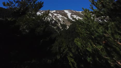 Aerial-drone-shot,-passing-very-close-among-the-trees-through-a-gap,-in-the-mountains-of-the-spanish-pyrenees