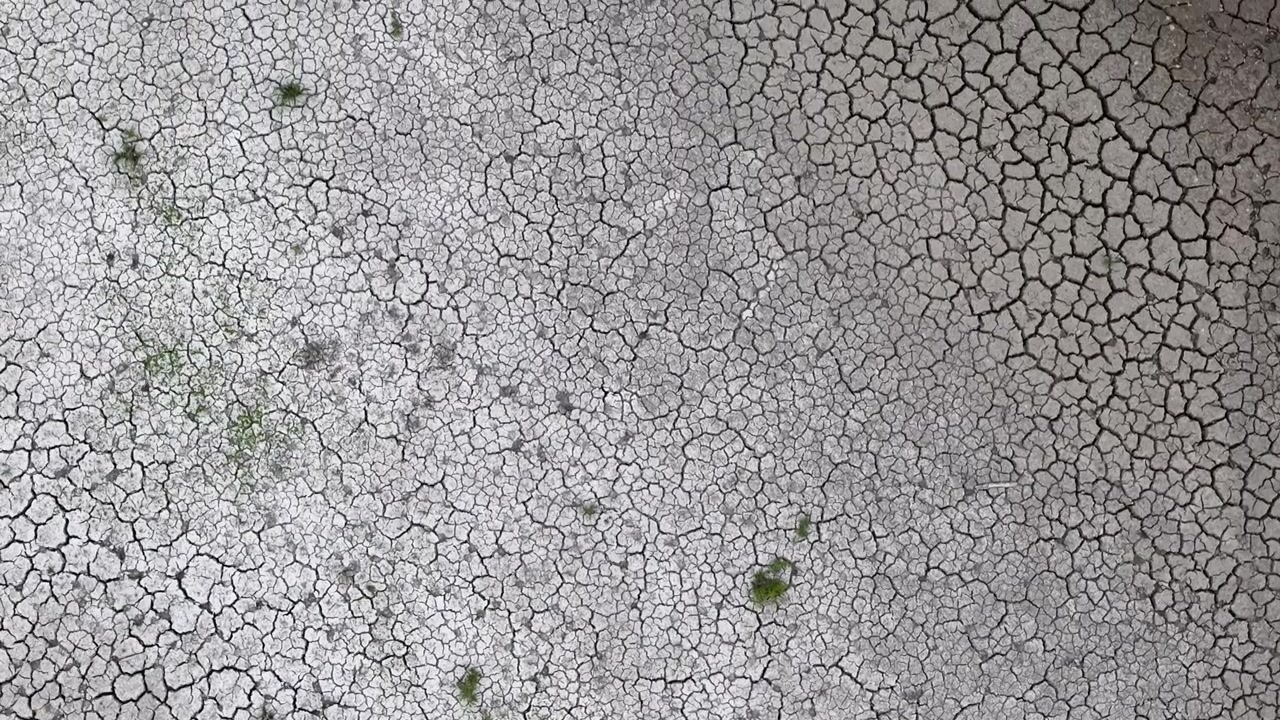 An overhead view reveals a vast expanse of dried, cracked earth featuring small patches of resilient green plants struggling survive.