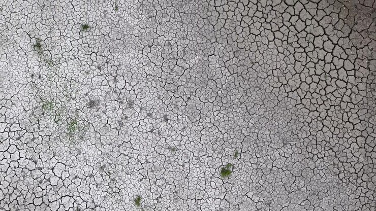 An overhead view reveals a vast expanse of dried, cracked earth featuring small patches of resilient green plants struggling survive.