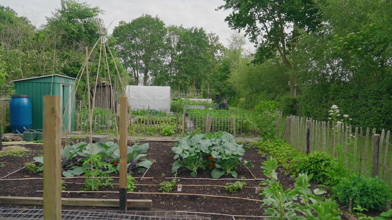 Potager pittoresque présentant différentes cultures et une serre tunnel entouré d'une verdure luxuriante. Un cadre extérieur paisible mettant en valeur le jardinage durable et la culture alimentaire