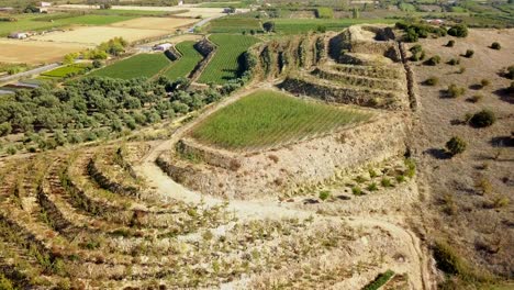 Drohnenaufnahmen-Von-Fruchtbaren-Feldern-Mit-Obstbaumsetzlingen-Und-Zierpflanzen