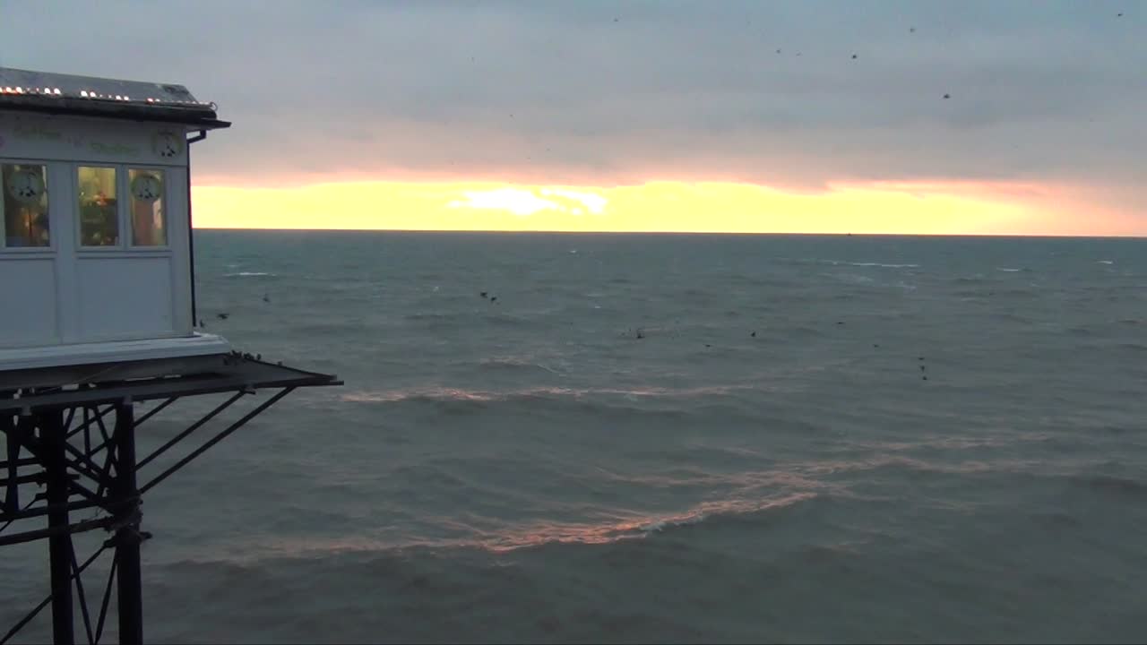 Large flock of Sea Birds swirling over the ocean at Brighton Pier, England with sunset in the background.