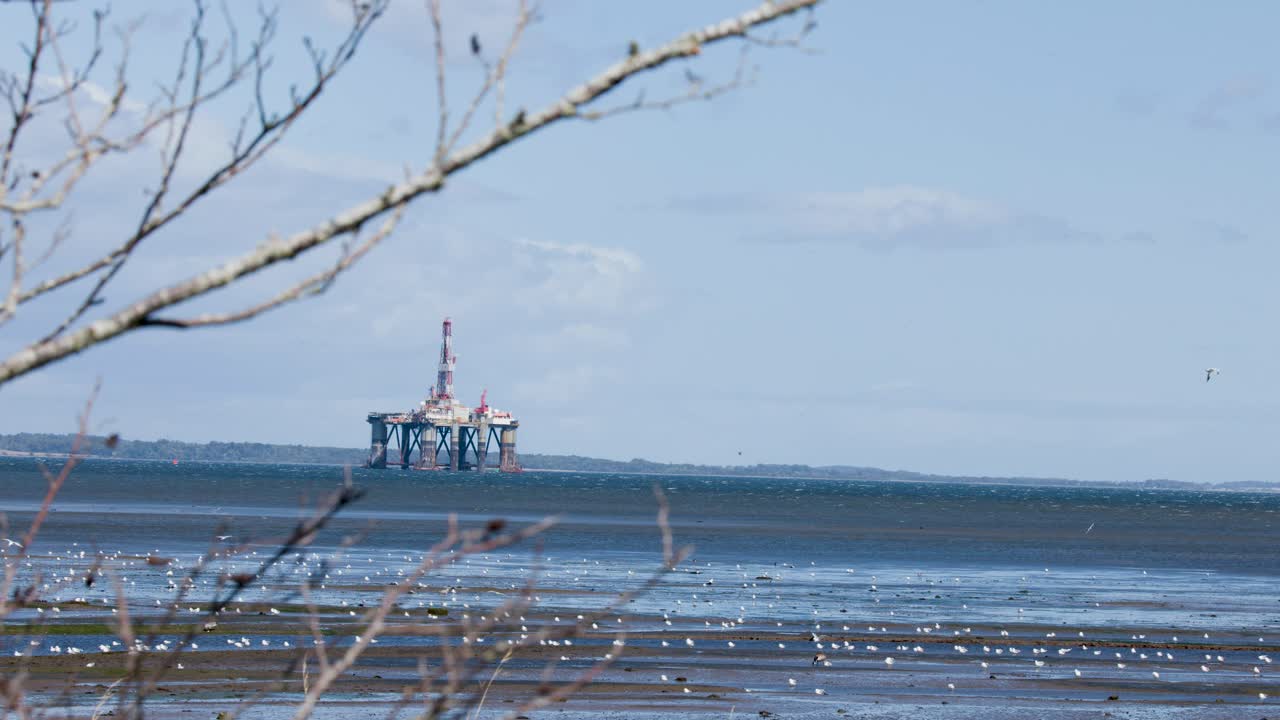 Distant offshore oil platform seen through branches, coastal mudflats, bright daylight, static wide shot