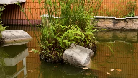 tranquil pond scene with lush greenery