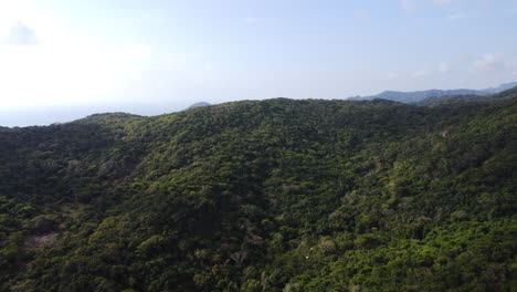 Vuelo-Aéreo-Cinematográfico-Sobre-Montañas-Verdes-En-El-Parque-Nacional-Nui-Chua,-Vietnam