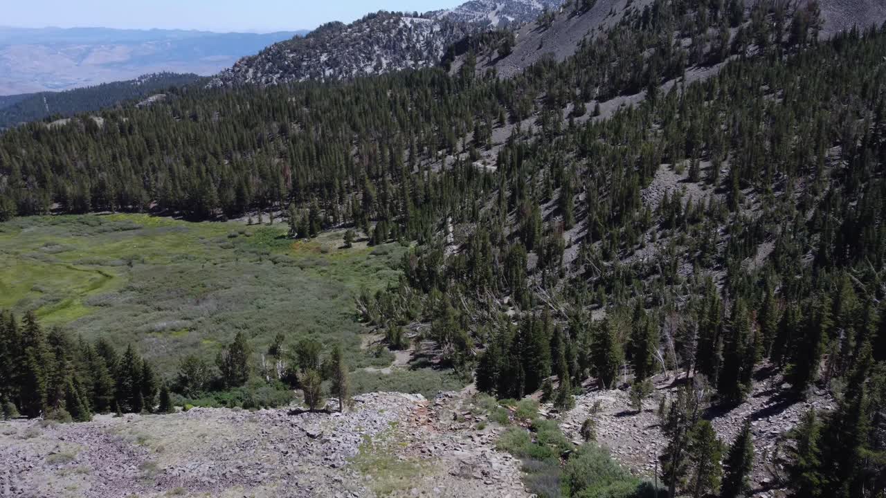 toma cenital que muestra a los excursionistas saliendo del bosque hacia un claro en las montañas de sierra nevada