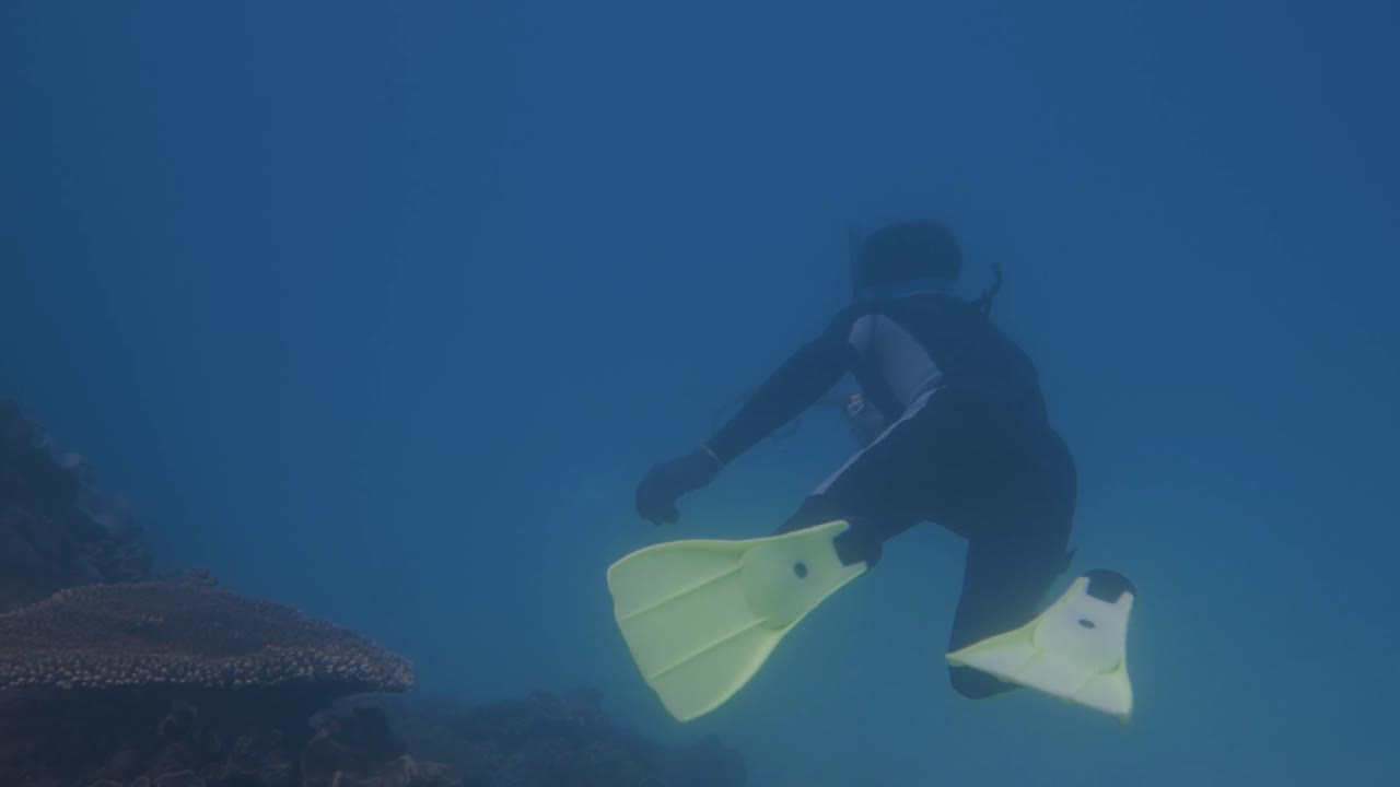 A spear fisherman shown from behind shooting a fish in the clear blue depths of the ocean