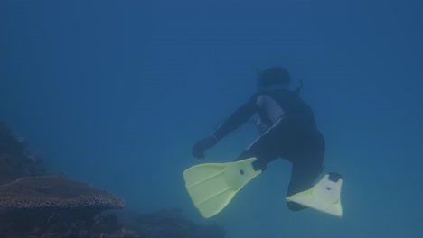 a spear fisherman shown from behind shooting a fish in the clear blue depths of the ocean