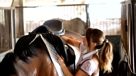 stable, a girl rider in riding clothes sets a backing for a saddle and a saddle for riding, on the back of a brown young handsome horse, a thoroughbred stallion