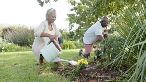 Happy african american senior couple gardening in sunny garden, slow motion