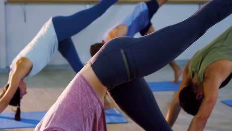 group of people performing yoga