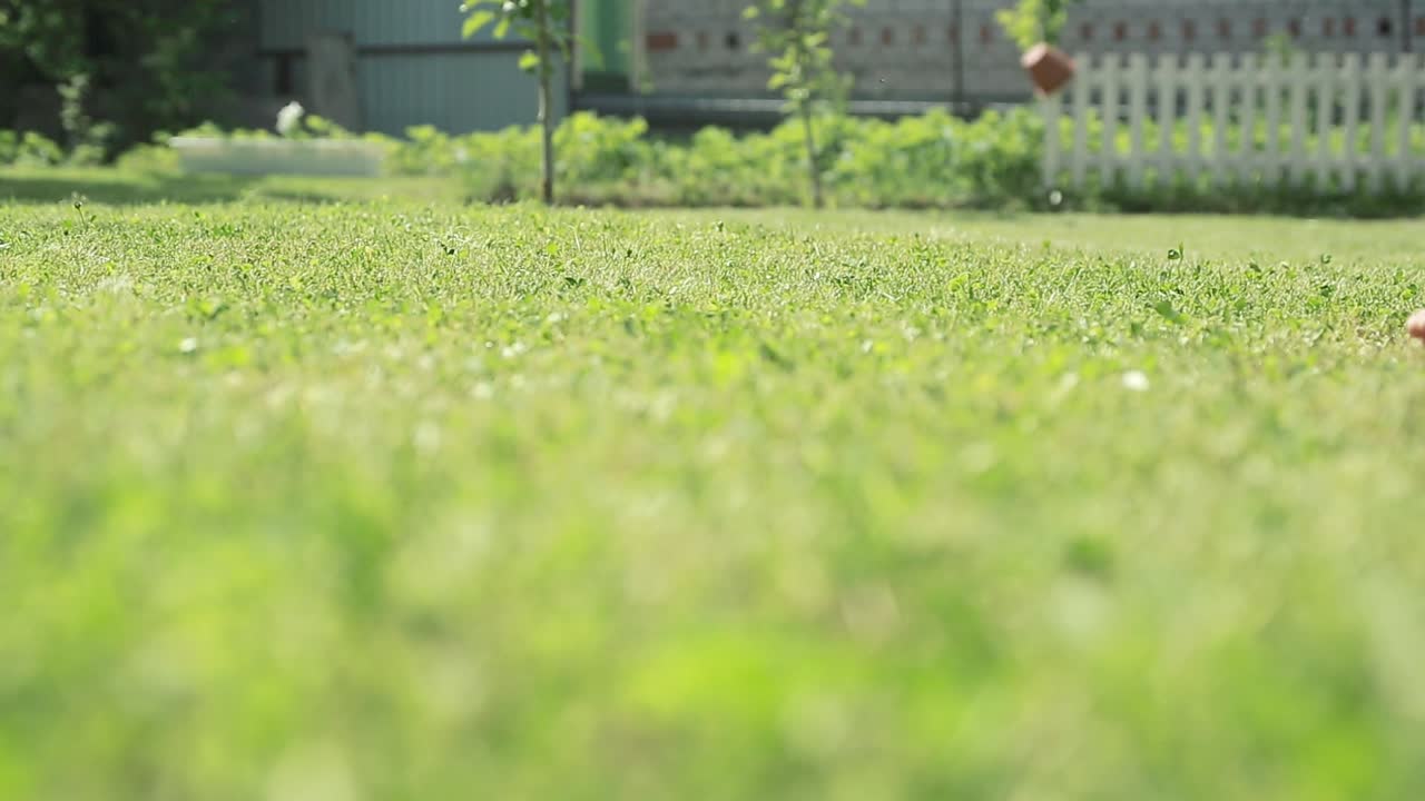Happy Kid Jumping In Green Field. Summer vacation concept, barefoot boy on summer green grass