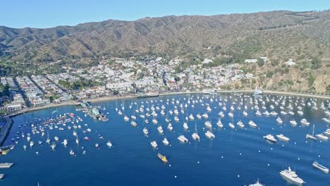 aerial view of catalina harbor with yachts and boats at anchor in the blue waters