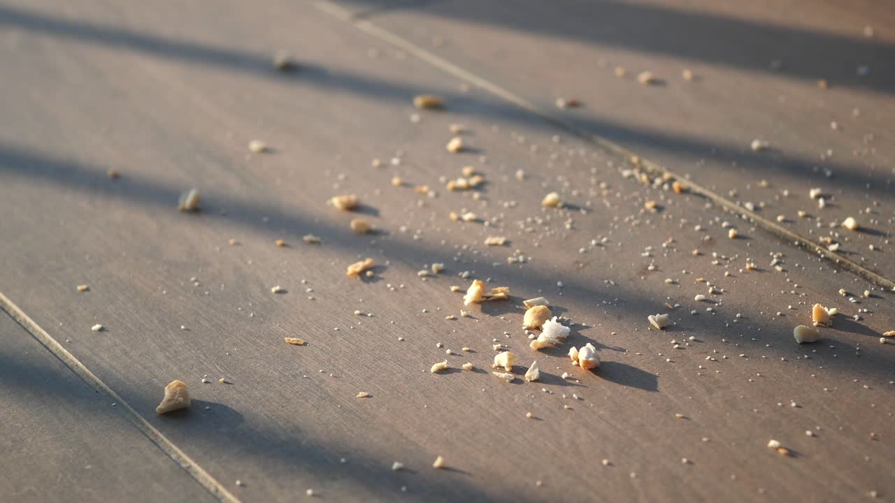 나무 테이블 에 있는  어리