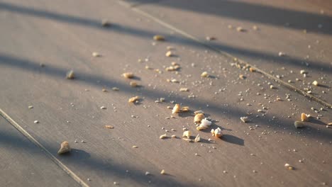 bread crumbs on a wooden table