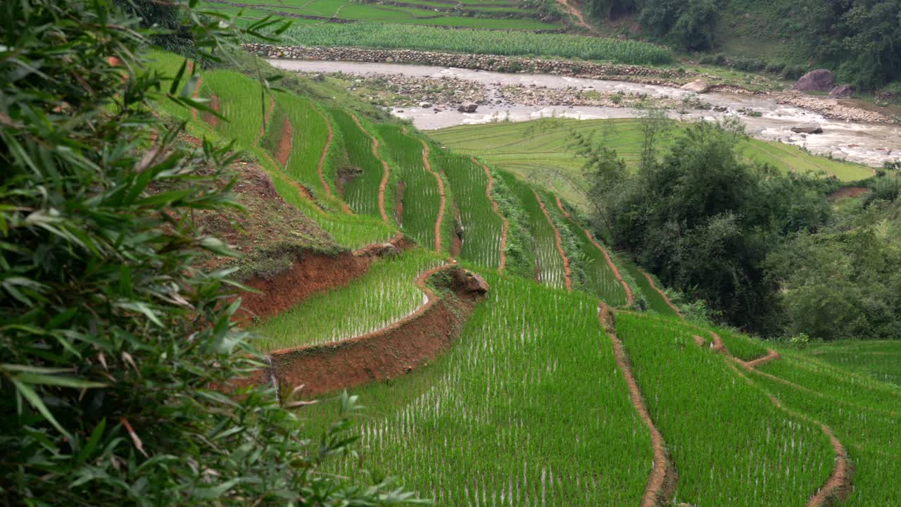 Landscape view of terraced rice paddy fields carved into green hillsides, showcasing Asian traditional farming patterns and natural beauty in rural Sapa, Vietnam
