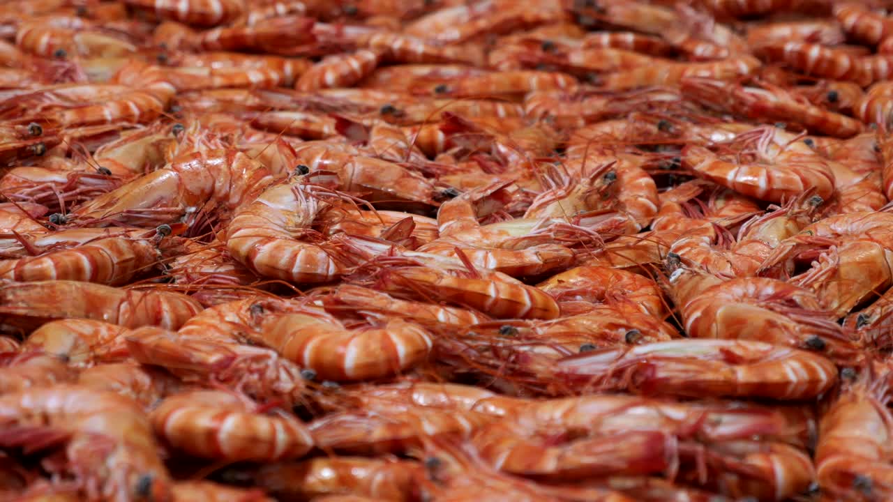 Brightly coloured fresh caught prawns move slowly along a conveyor belt as part of the processing line, highlighting the care and cleanliness involved in preparing premium produce.