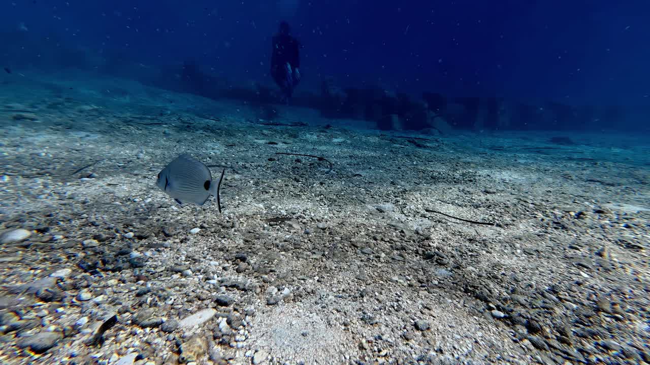Vidvinkel POV af en lille fisk, der svømmer over en stenet havbund i Malta Gozo på en rolig sommer eftermiddag med en sløret dykker i den dybblå baggrund under klare solrige vejrforhold