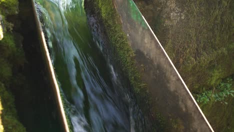 water streaming on dirty canal flowing on path through green moss in quiet countryside