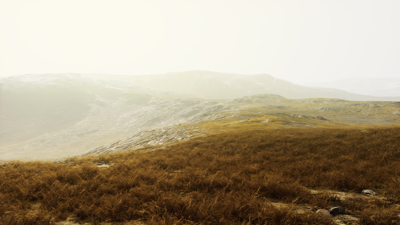 네팔의 밝은 하늘 아래 풀과 모스로  ⁇ 인 돌