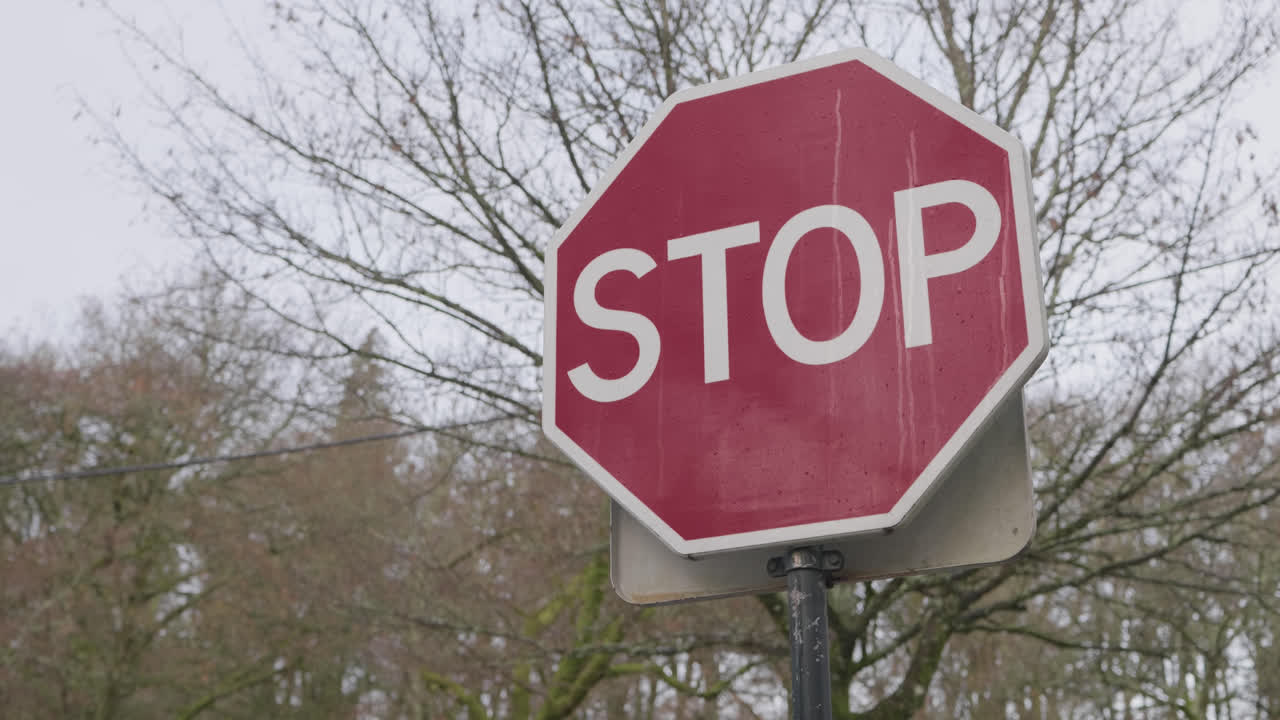 Close up of stop traffic sign outdoors near road with winter trees