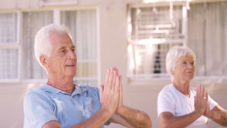 senior couple performing a yoga